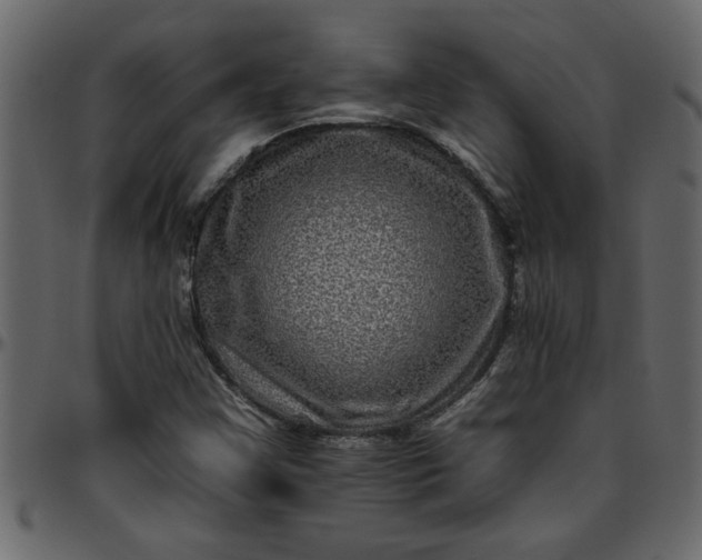 X0000095671355200801221155