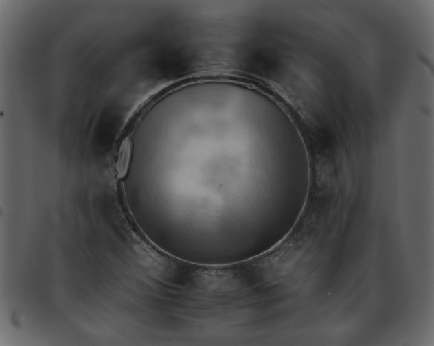 X0000095671356200801221155