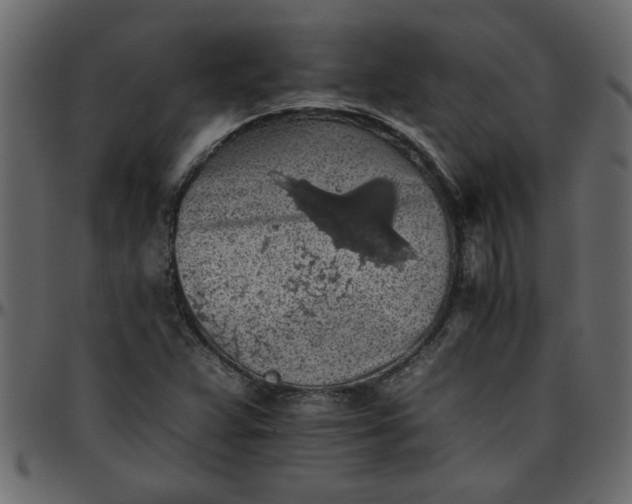 X0000095671359200801221155