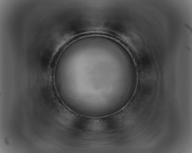 X0000095671360200801221155