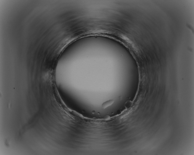 X0000095671361200801221155