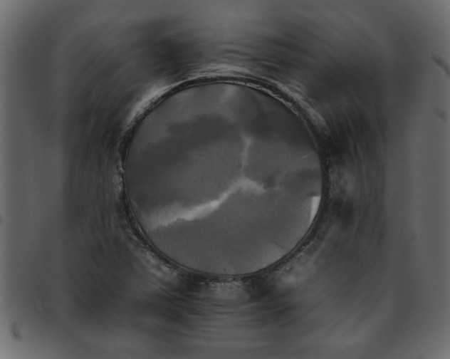 X0000095671363200801221155