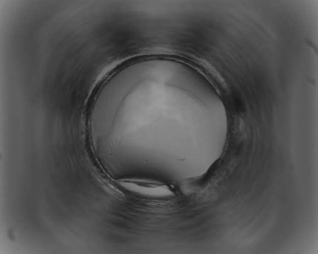 X0000095671364200801221155