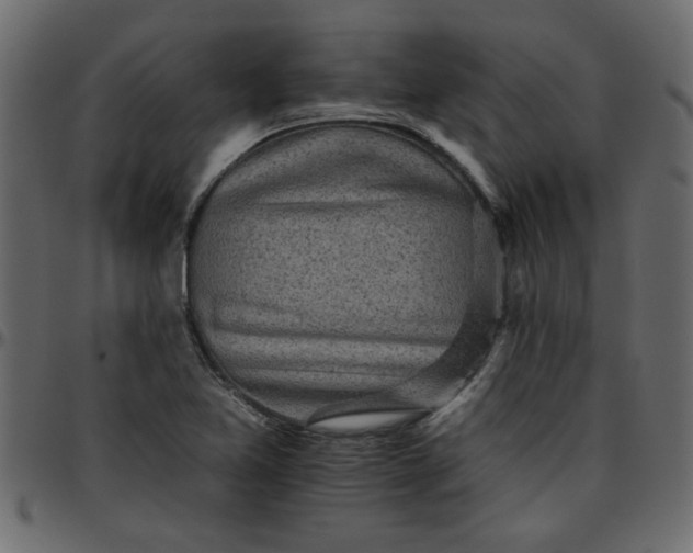 X0000095671365200801221155