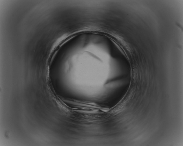 X0000095671366200801221155