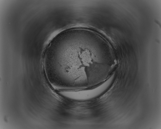 X0000095671367200801221155