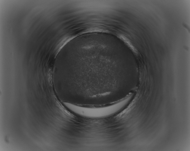 X0000095671369200801221155