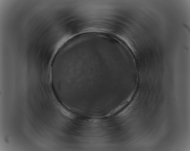 X0000095671371200801221155