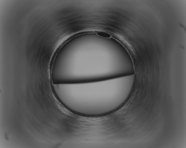 X0000095671372200801221155