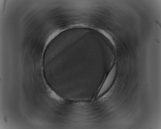 X0000095671373200801221155