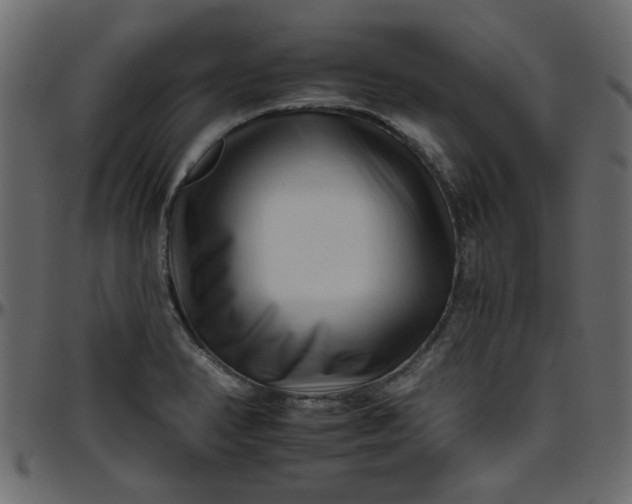 X0000095671374200801221155