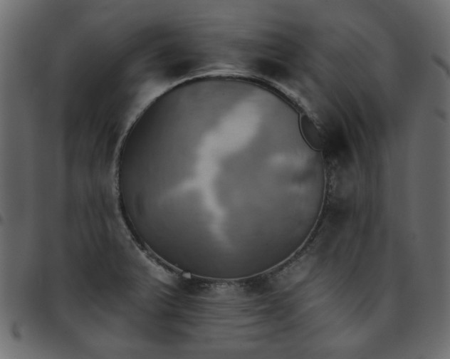 X0000095671375200801221155