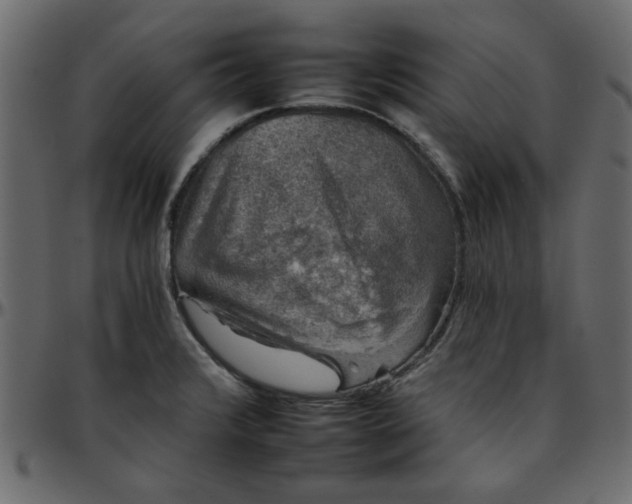 X0000095671376200801221155