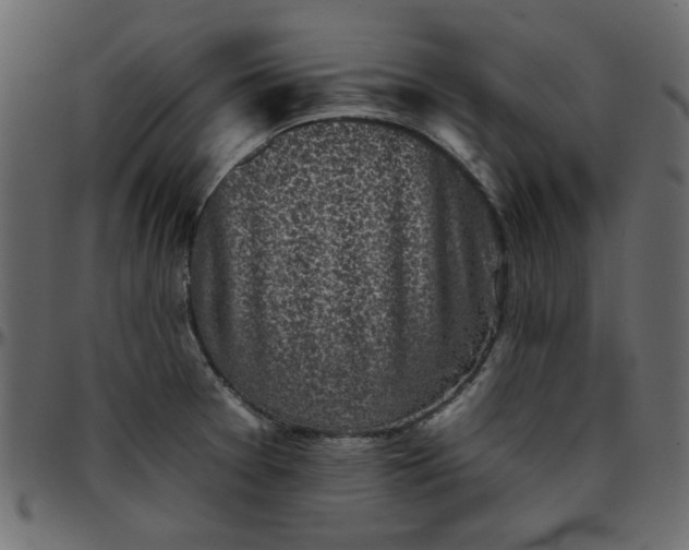 X0000095671377200801221155