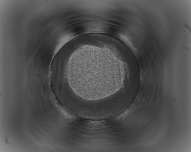 X0000095671378200801221155