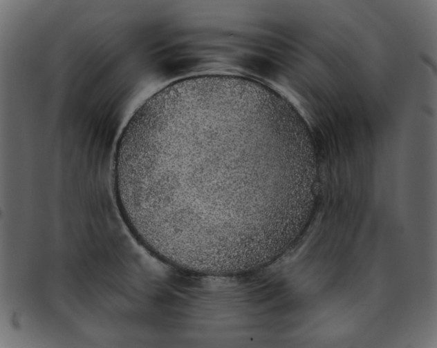 X0000095671379200801221155