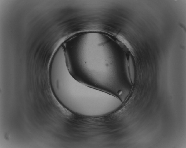 X0000095671380200801221154