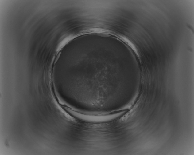 X0000095671381200801221154