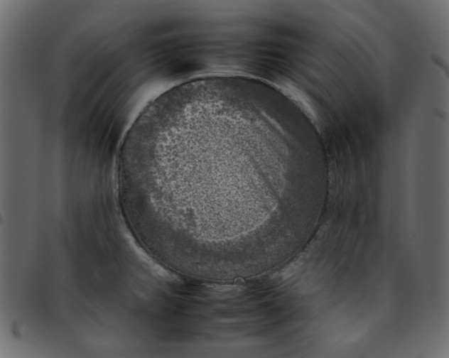 X0000095671382200801221154