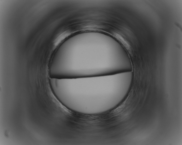 X0000095671384200801221154