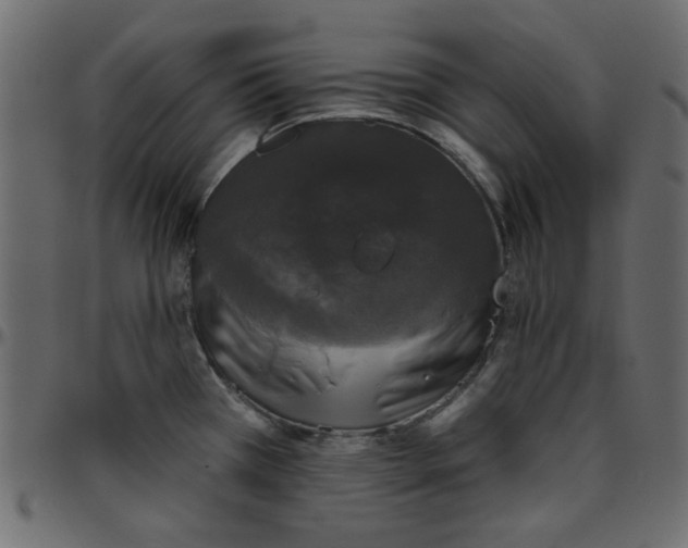 X0000095671385200801221154