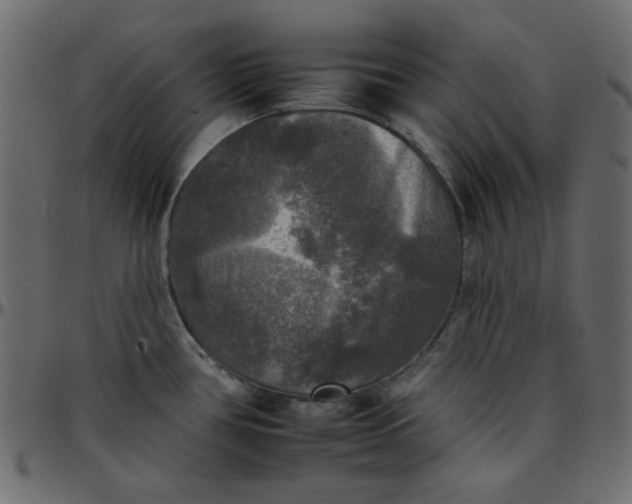 X0000095671386200801221154