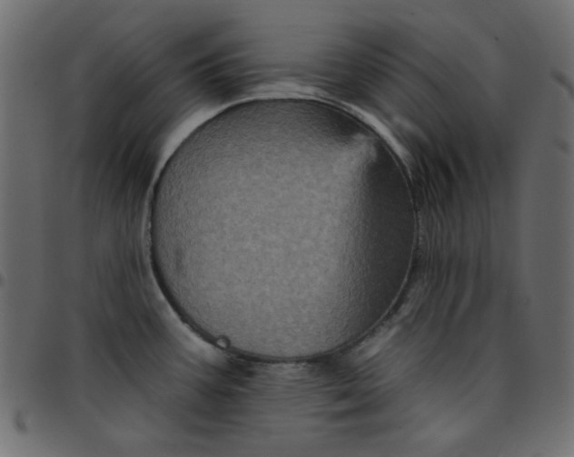 X0000095671387200801221154