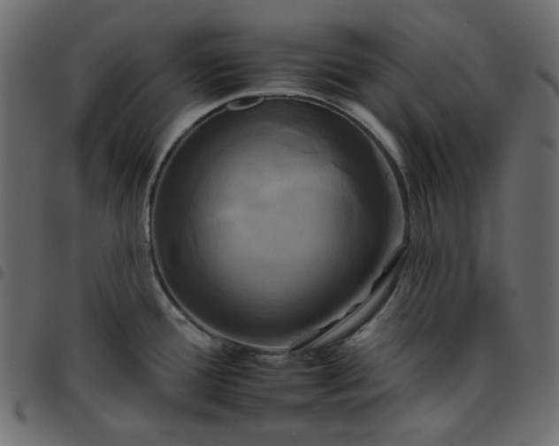 X0000095671388200801221154