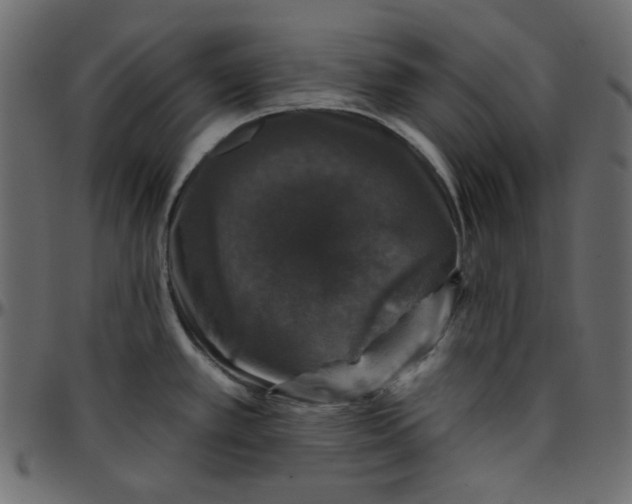 X0000095671389200801221154