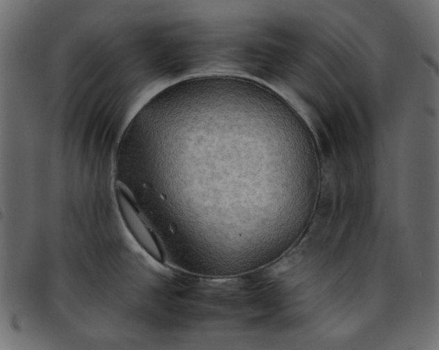 X0000095671390200801221154