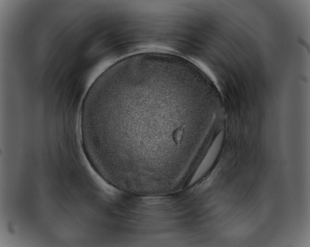 X0000095671391200801221154