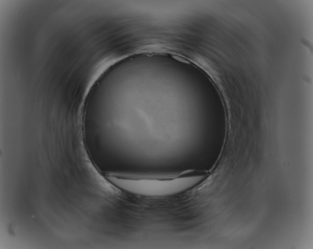 X0000095671392200801221154