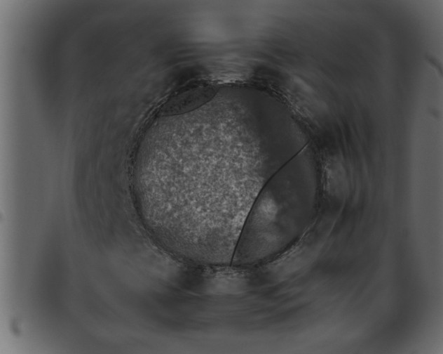 X0000095671393200801221154