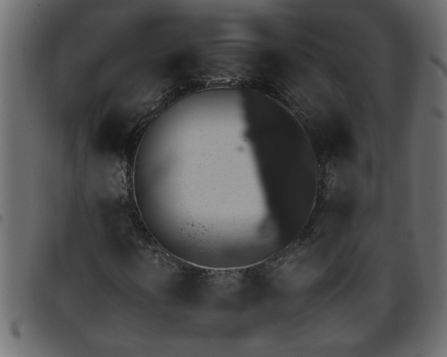 X0000095671394200801221154