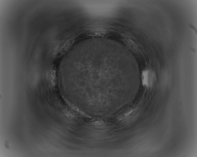 X0000095671395200801221154