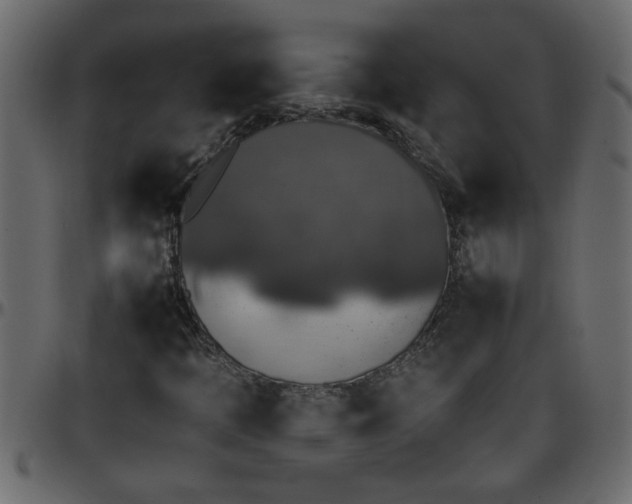 X0000095671397200801221154