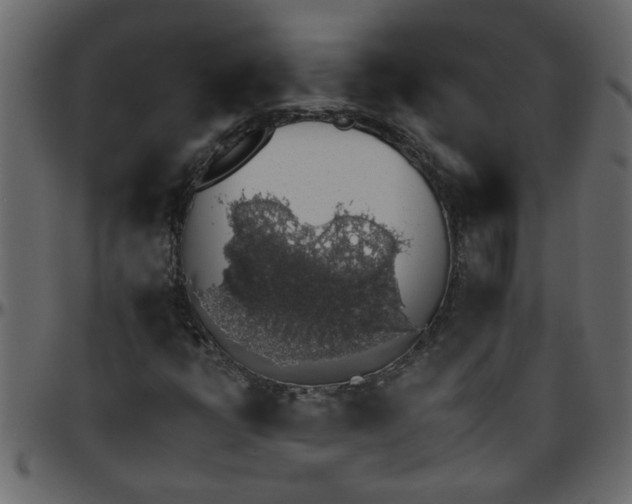 X0000095671398200801221154