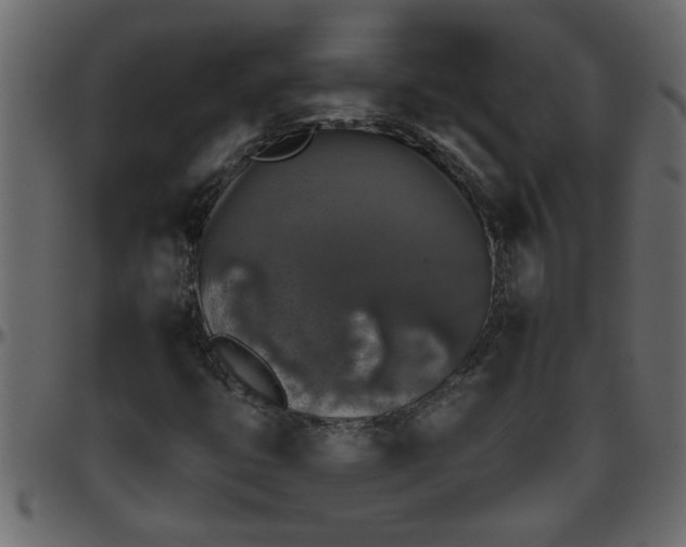 X0000095671399200801221154