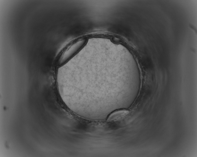 X0000095671400200801221154