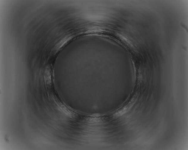 X0000095671401200801221154