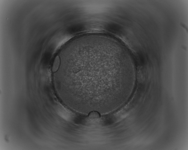 X0000095671402200801221154