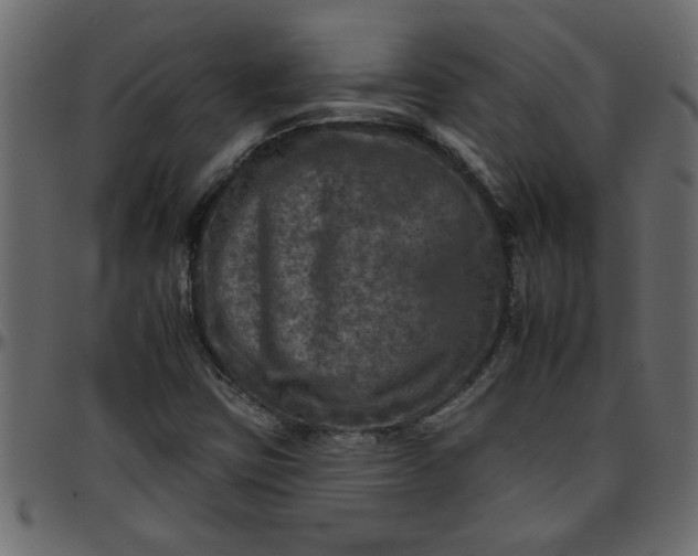 X0000095671403200801221154