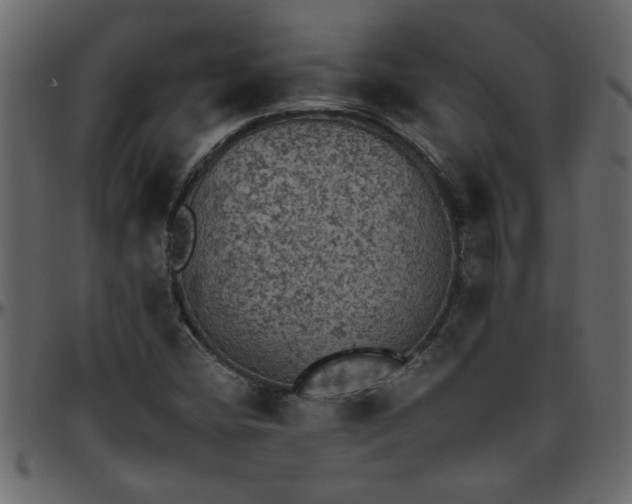 X0000095671404200801221154