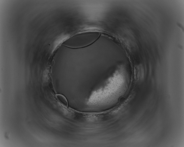 X0000095671405200801221154