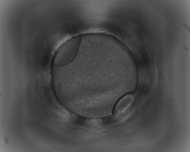 X0000095671406200801221154