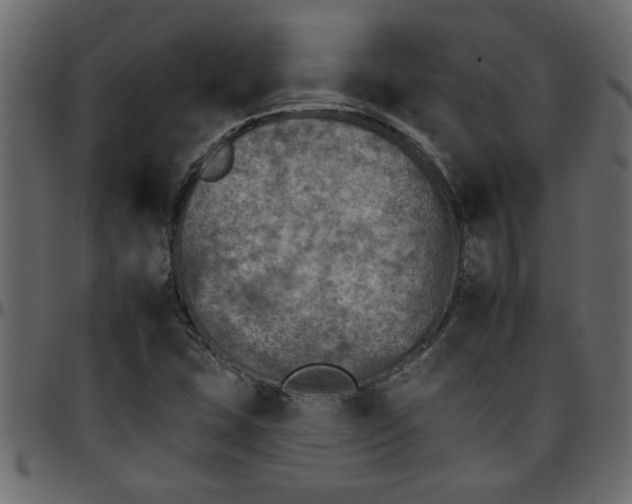 X0000095671407200801221154