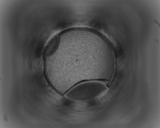 X0000095671408200801221154