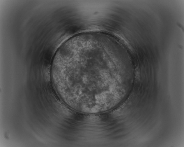 X0000095671409200801221154