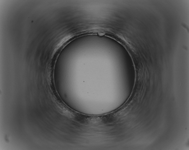 X0000095671410200801221154