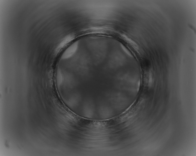 X0000095671411200801221154